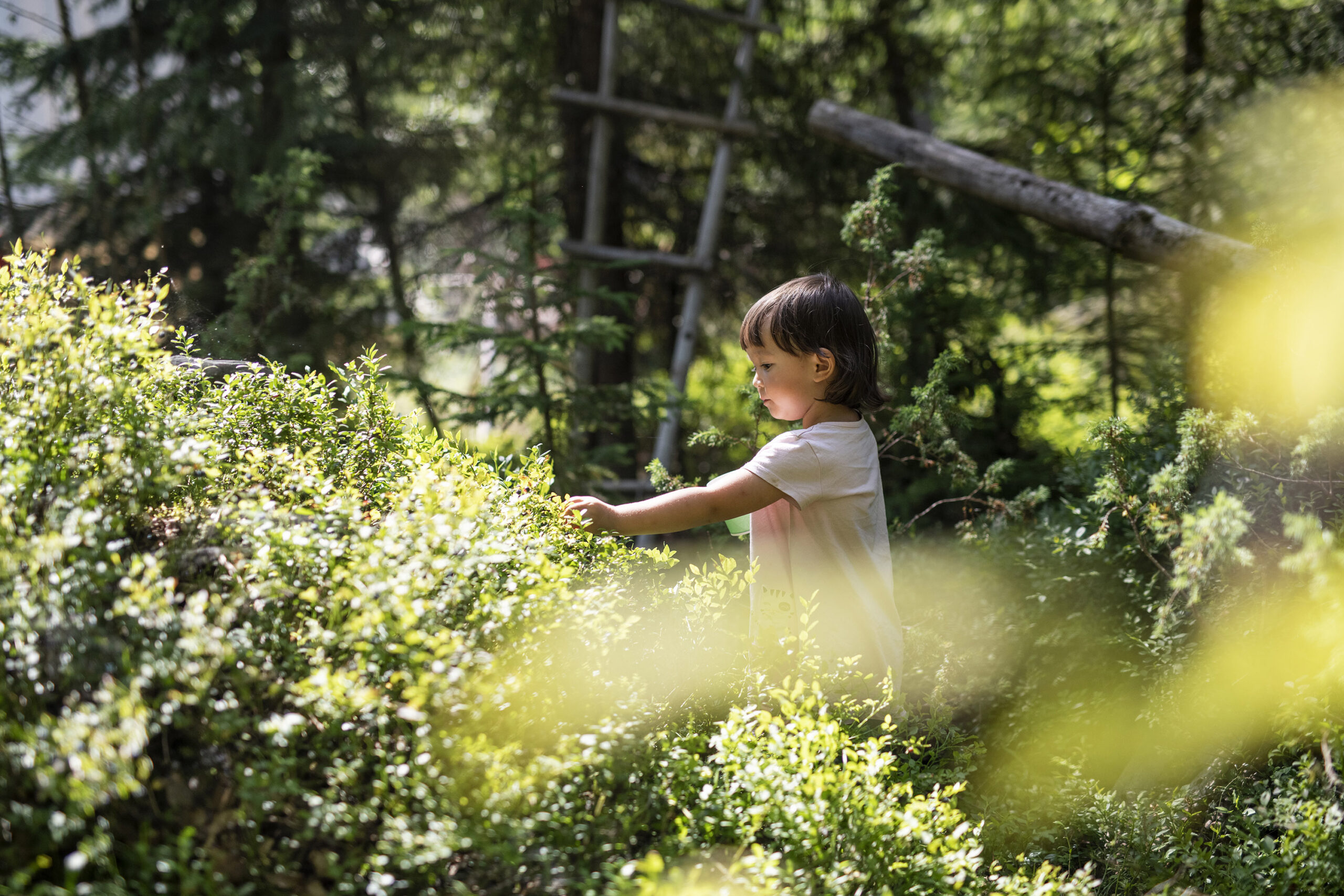 Pieni tummatukkainen lapsi tutkii luontoa aurinkoisessa metsässä.
